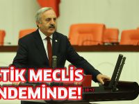 ÇELTİK MECLİS GÜNDEMİNDE!