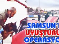 Samsun'da Uyuşturucu Operasyonu