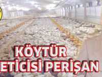 KÖYTÜR ÜRETİCİSİ PERİŞAN