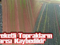 ''Bereketli Toprakların Yarısı Kaybedildi''