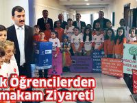 Minik Öğrencilerden Kaymakam Ziyareti