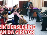 MÜZİK DERSLERİNE ASLAN DA GİRİYOR