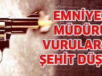 EMNİYET MÜDÜRÜ VURULARAK ŞEHİT DÜŞTÜ!