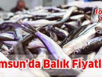 Samsun'da Balık Fiyatları