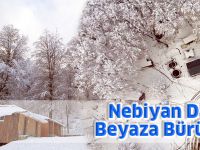 Nebiyan Dağı Beyaza Büründü