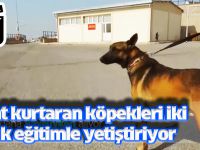 Hayat kurtaran köpekleri iki yıllık eğitimle yetiştiriyor