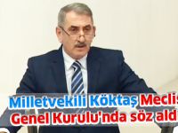 Milletvekili Köktaş Meclis Genel Kurulu'nda söz aldı