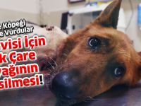 Tedavisi İçin Tek Çare Ayağının Kesilmesi!
