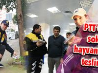 PTT çalışanlarından sokak hayvanlarına teslimat