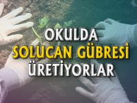 OKULDA SOLUCAN GÜBRESİ ÜRETİYORLAR