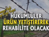 HÜKÜMLÜLER ÜRÜN YETİŞTİREREK REHABİLİTE OLACAK
