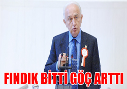 FINDIK BİTTİ GÖÇ ARTTI