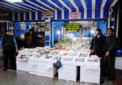 Balık bolluğu nereden geliyor