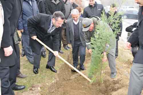 1 milyon 167 bin ağaç dikilecek