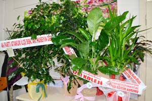 Gazetemiz çiçek bahçesine döndü