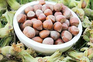 Rekabet Kurumu incelemesini tamamladı