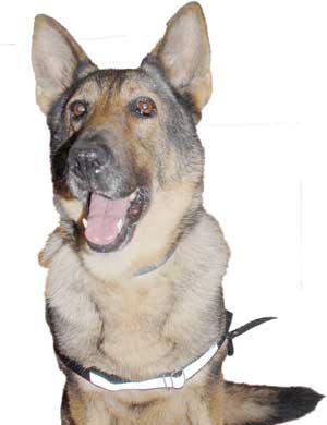 'ECE' yine bingo dedi