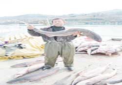 Balıkçılar hayrete düştü