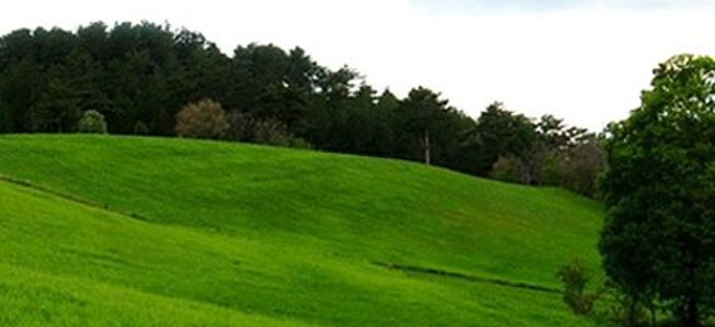 SAMSUN'DAKİ PROJE ALANI 2-B'LER İÇİN