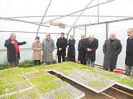 Katırcı`dan Sera Ziyareti