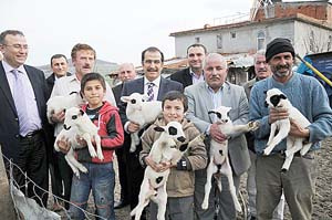Koyun projesi köyden göçü tersine çevirdi