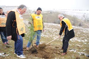 Doğaseverler fidan dikti