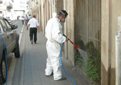 İlkaadım'da kaldırım temizliği