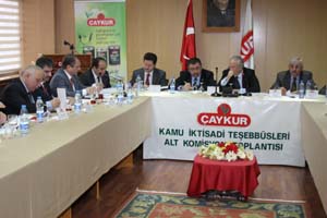 ÇAY KUR Organik çay üretiyor