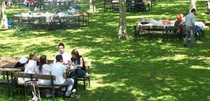 Piknikçilere kötü haber!