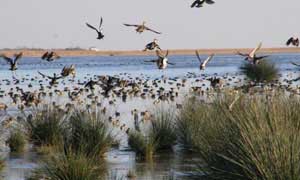 Milli Parklar imara açılıyor!