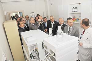 Karadeniz Bölgesi'nde tek