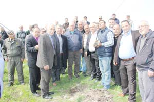 MHP Lâdikte fidan dikti