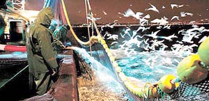 Denizlerde av sezonu 15 Nisan'da sona eriyor