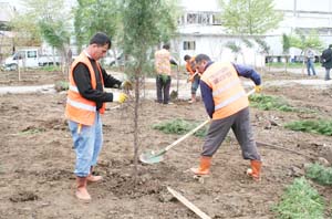 Sanayi siteleri yeşilleniyor