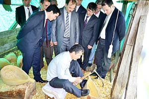 30 YILDIR BU İŞTEN EKMEK YİYOR