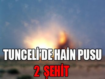 Tunceli'de hain pusu: 2 şehit