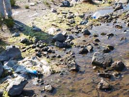 Dereköy  Limanı kaderine terkedildi