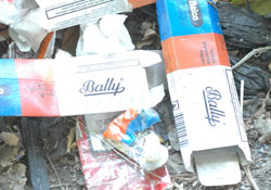 Baliciler korku salıyor