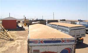 TMO'da randevulu dönem başlıyor