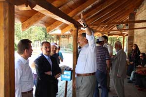 Bin yıllık ama  hâlâ ayakta