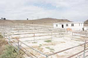 Canlı hayvan pazarı süresiz kapatıldı
