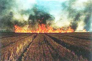 Anız yakanları ihbar edin