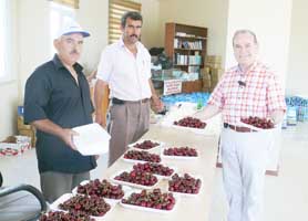 5. Kiraz Festivali