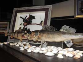 Çalı çırpıya hayat veriyor