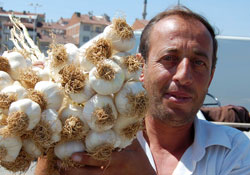 Beyaz altın pazara indi