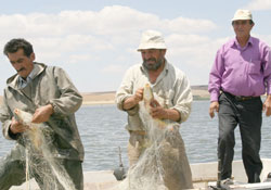 Samsunlu balıkçılar Yozgat'ı mesken tuttu