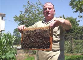 Ucuz bal alayım derken sağlığınızdan olmayın