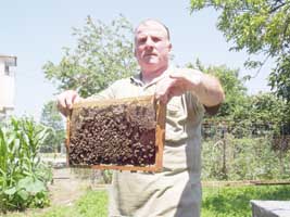 ARICILIK GELİŞİYOR