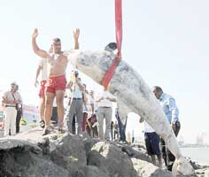 Mert Plaji'nda yunus var