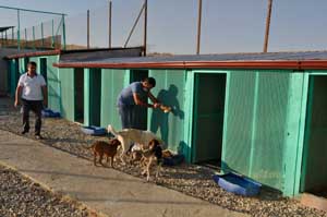 GECEKLE BİR İLGİSİ YOK